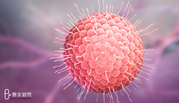 Medinfo cover_生蛇_zoster