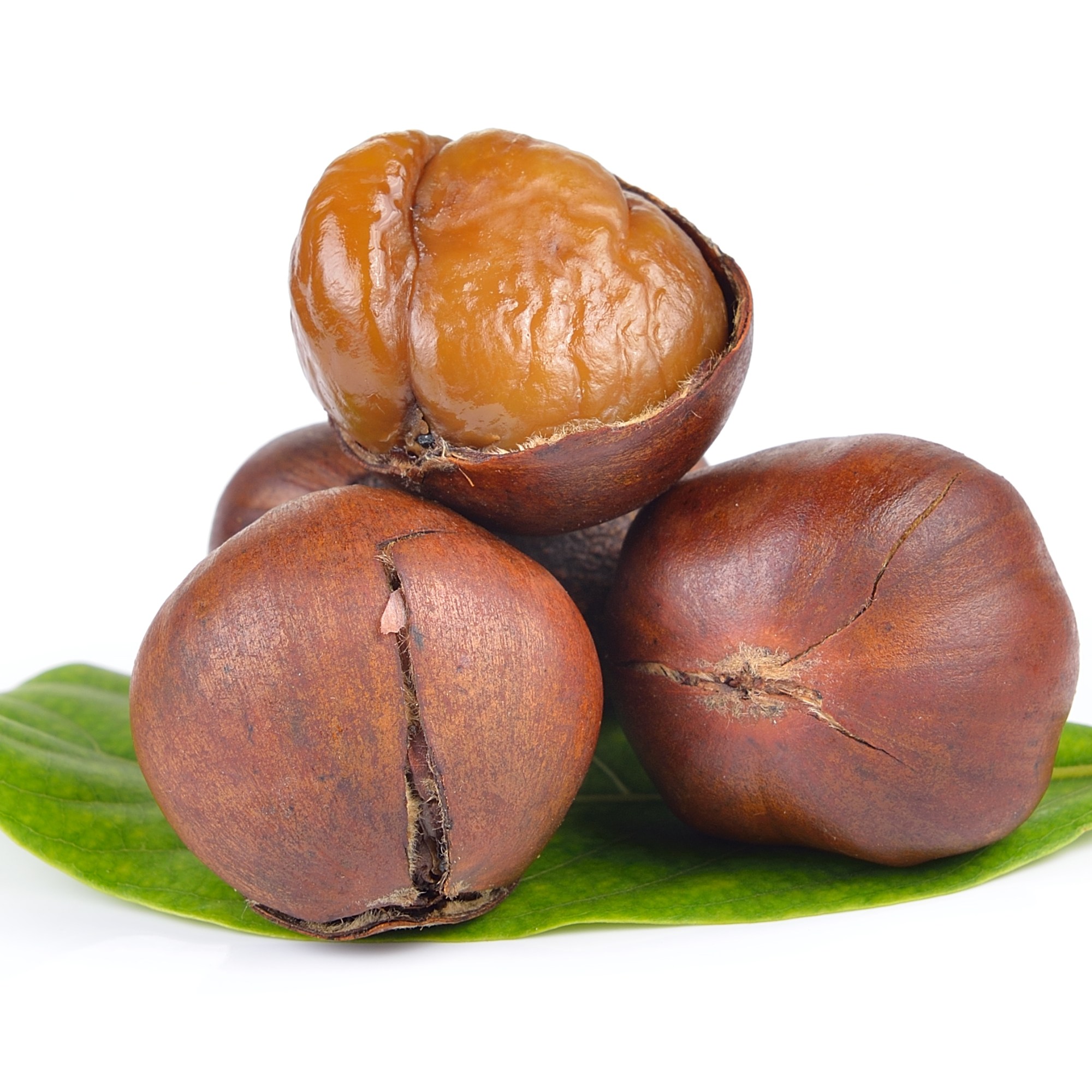 bewellnesshk_chestnut