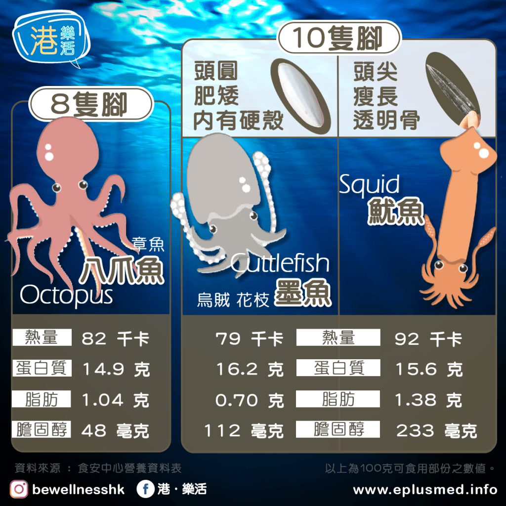 bewellnesshk fb cover_cuttlefish vs squid vs octopus