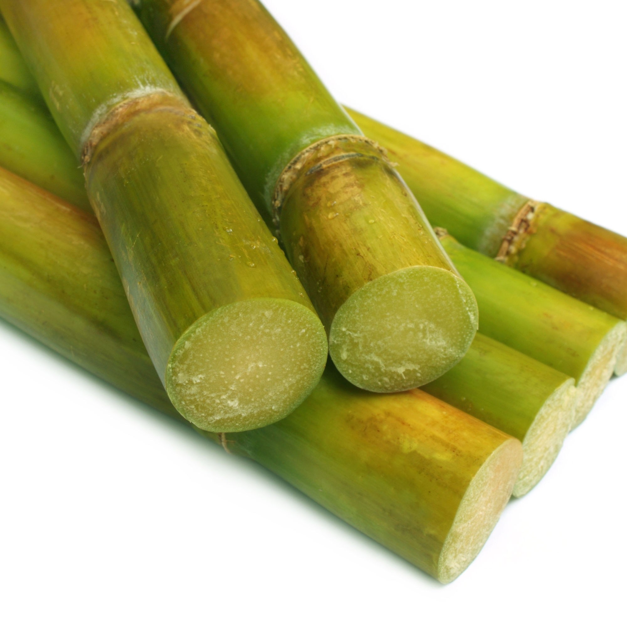 bewellnesshk_雨水_Sugarcane
