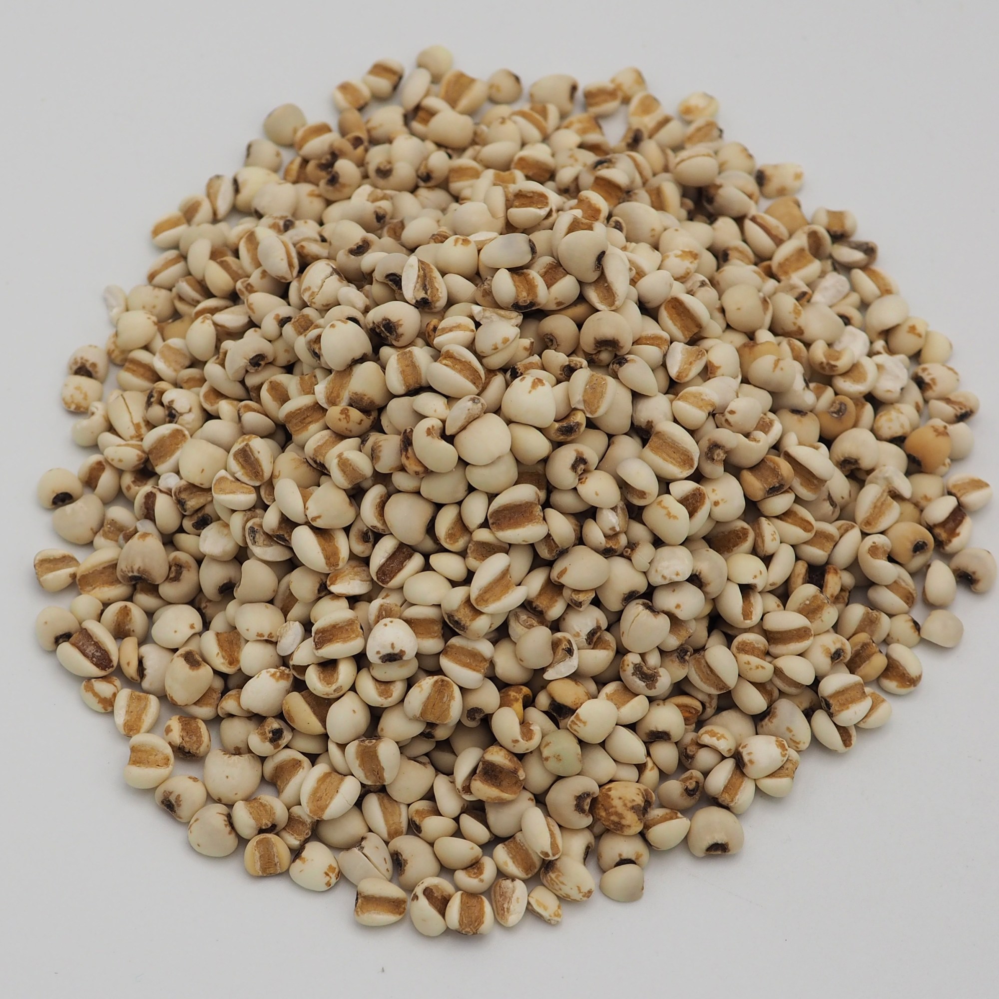 bewellnesshk_廿四節氣_春分_薏米