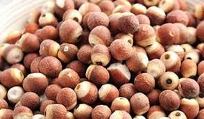 bewellnesshk_廿四節氣_穀雨_pic3