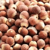 bewellnesshk_廿四節氣_穀雨_pic3