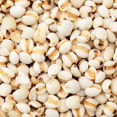 bewellnesshk_廿四節氣_小滿_薏仁