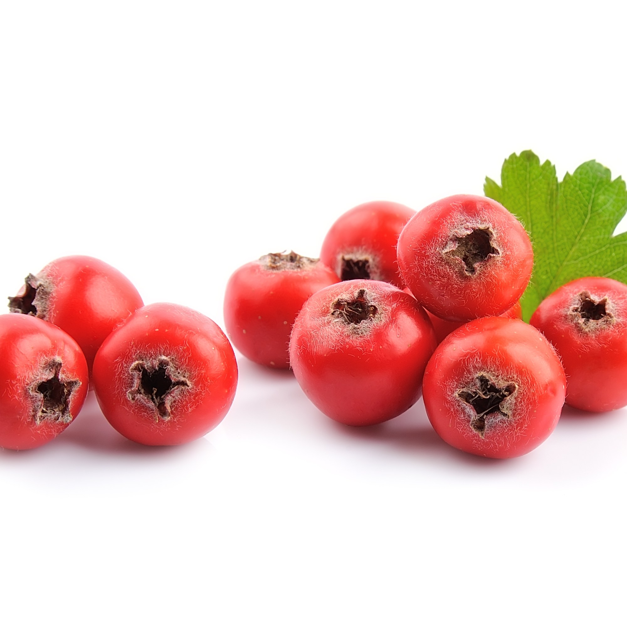 bewellnesshk_廿四節氣_立夏_Hawthorn fruits