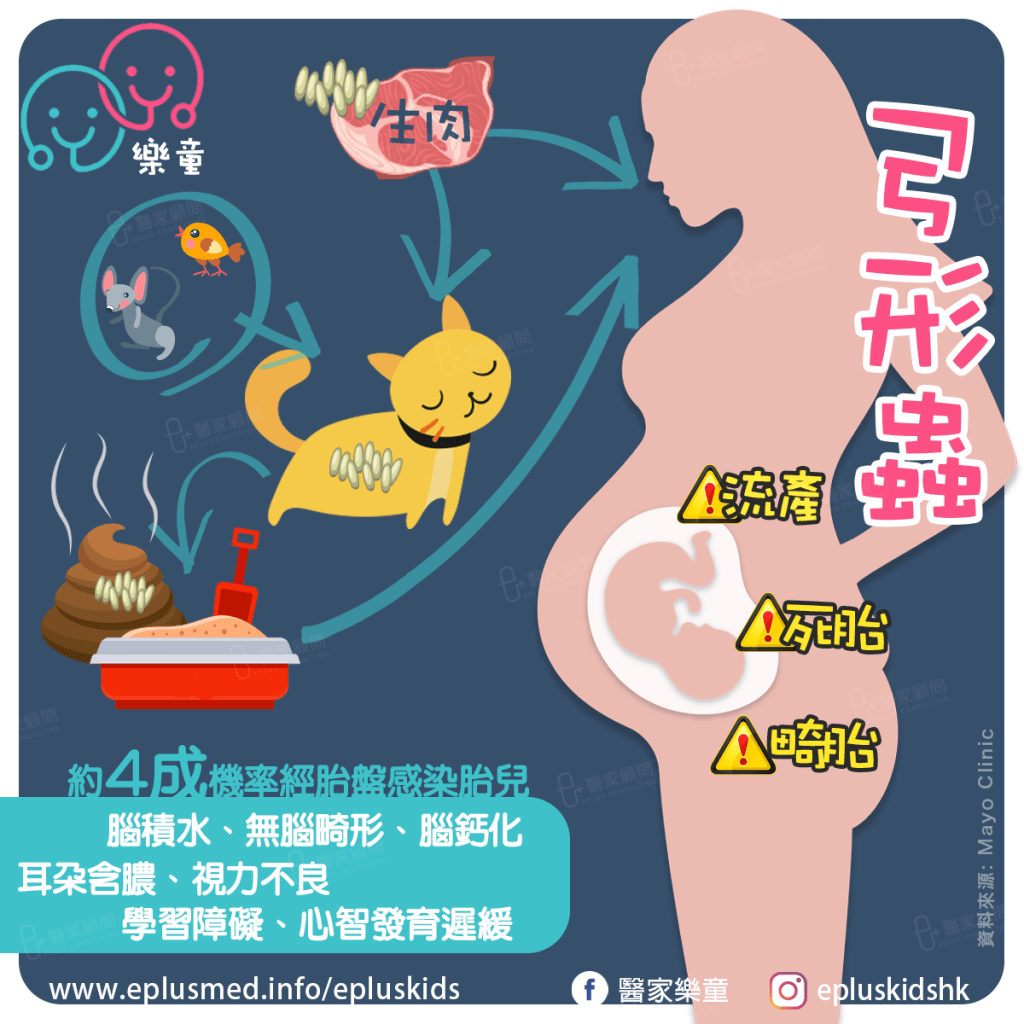 Epluskids fb cover_pregnant-bacteria 弓形虫