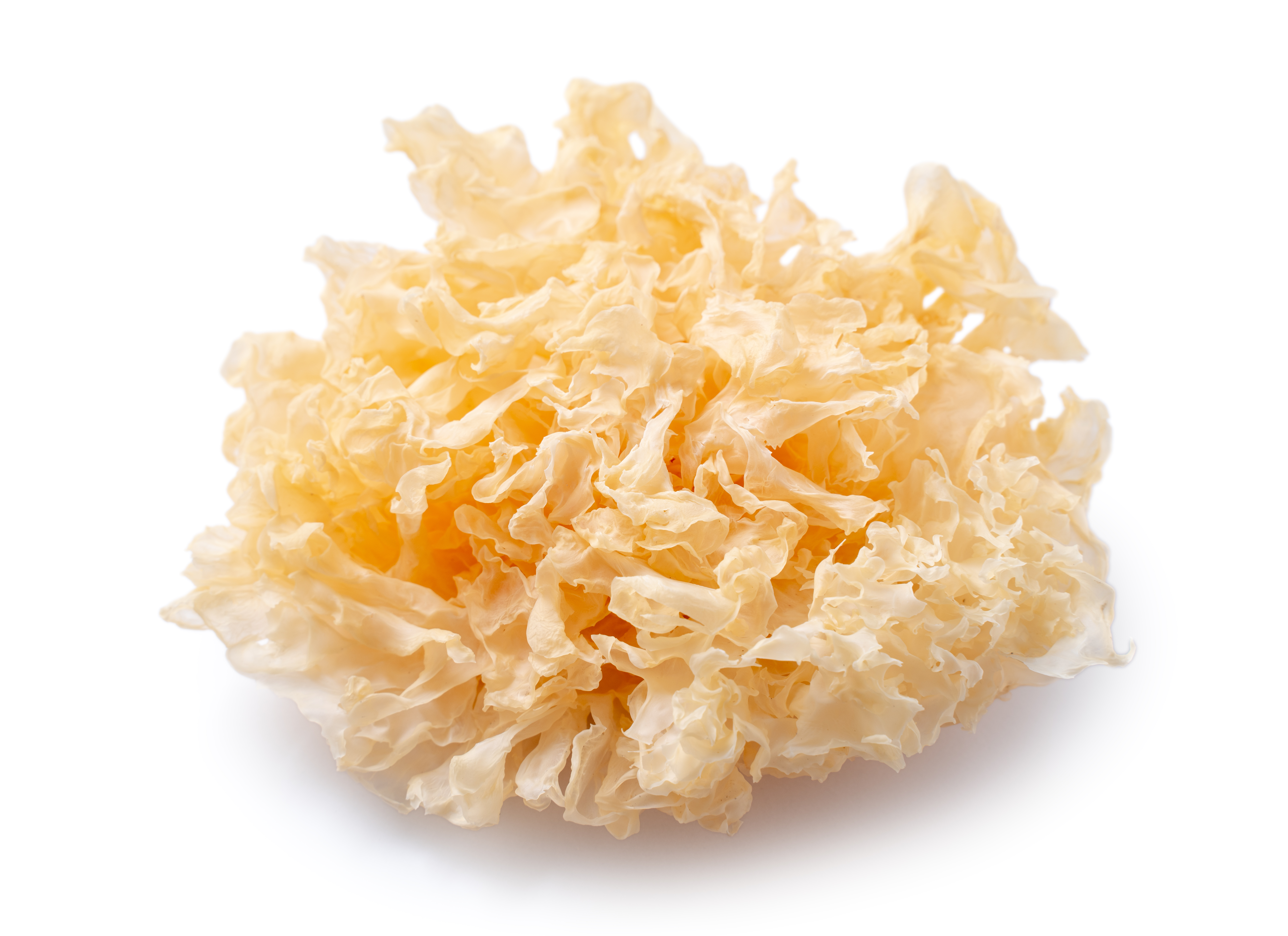 bewellnesshk_廿四節氣_立秋_Dried snow fungus