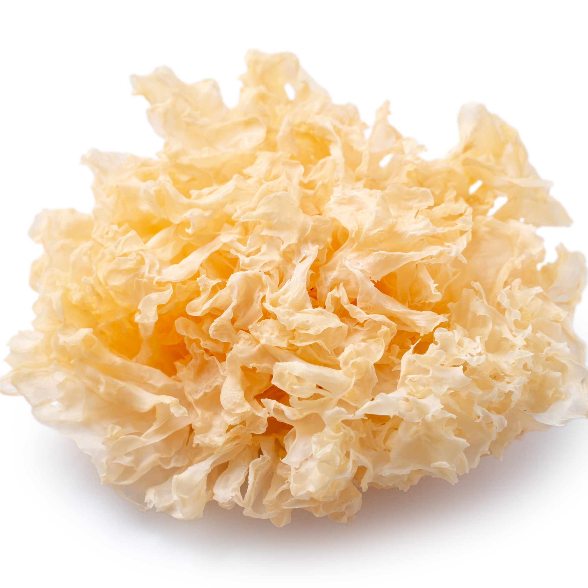 bewellnesshk_廿四節氣_立秋_Dried snow fungus