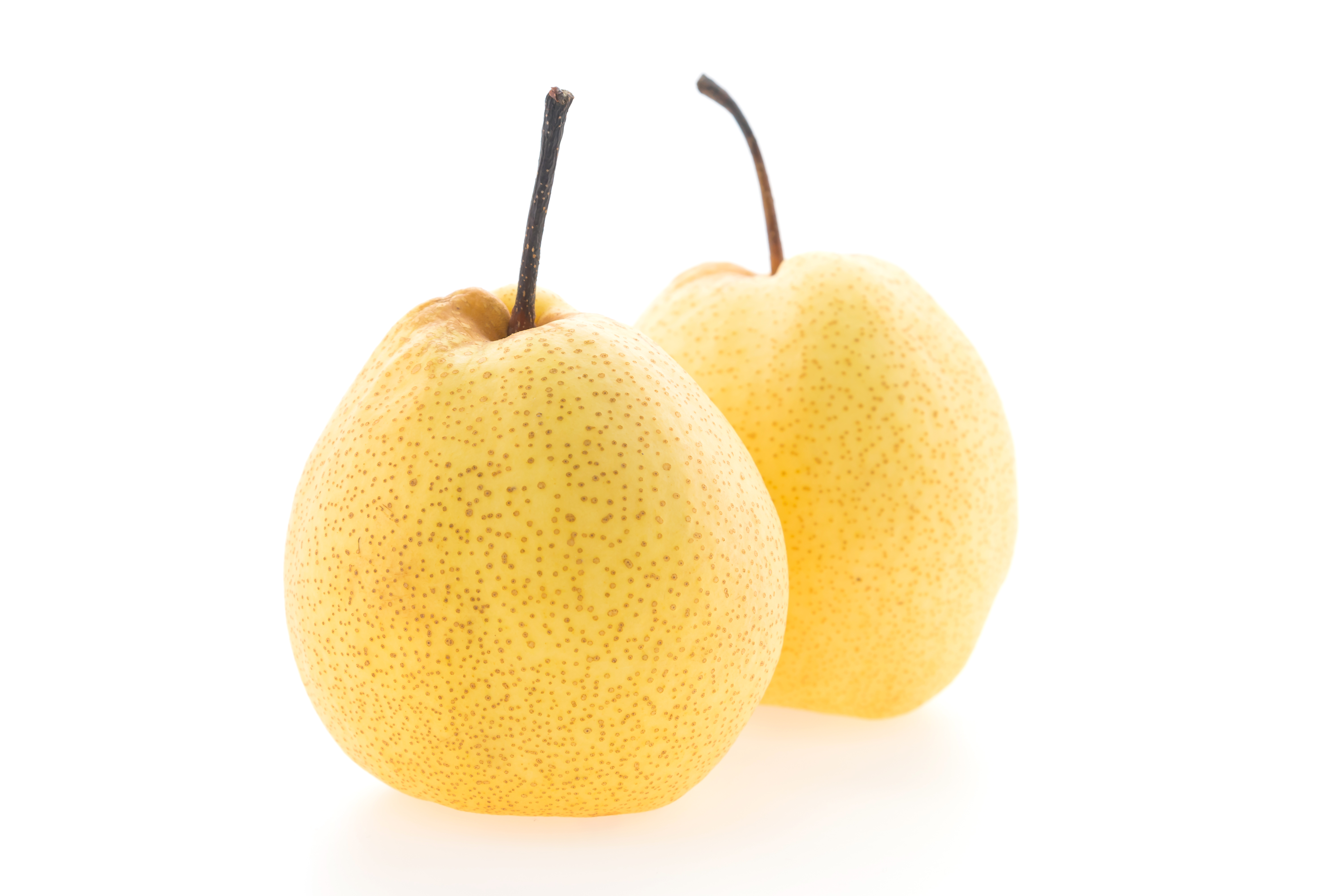 bewellnesshk_廿四節氣_白露_pear
