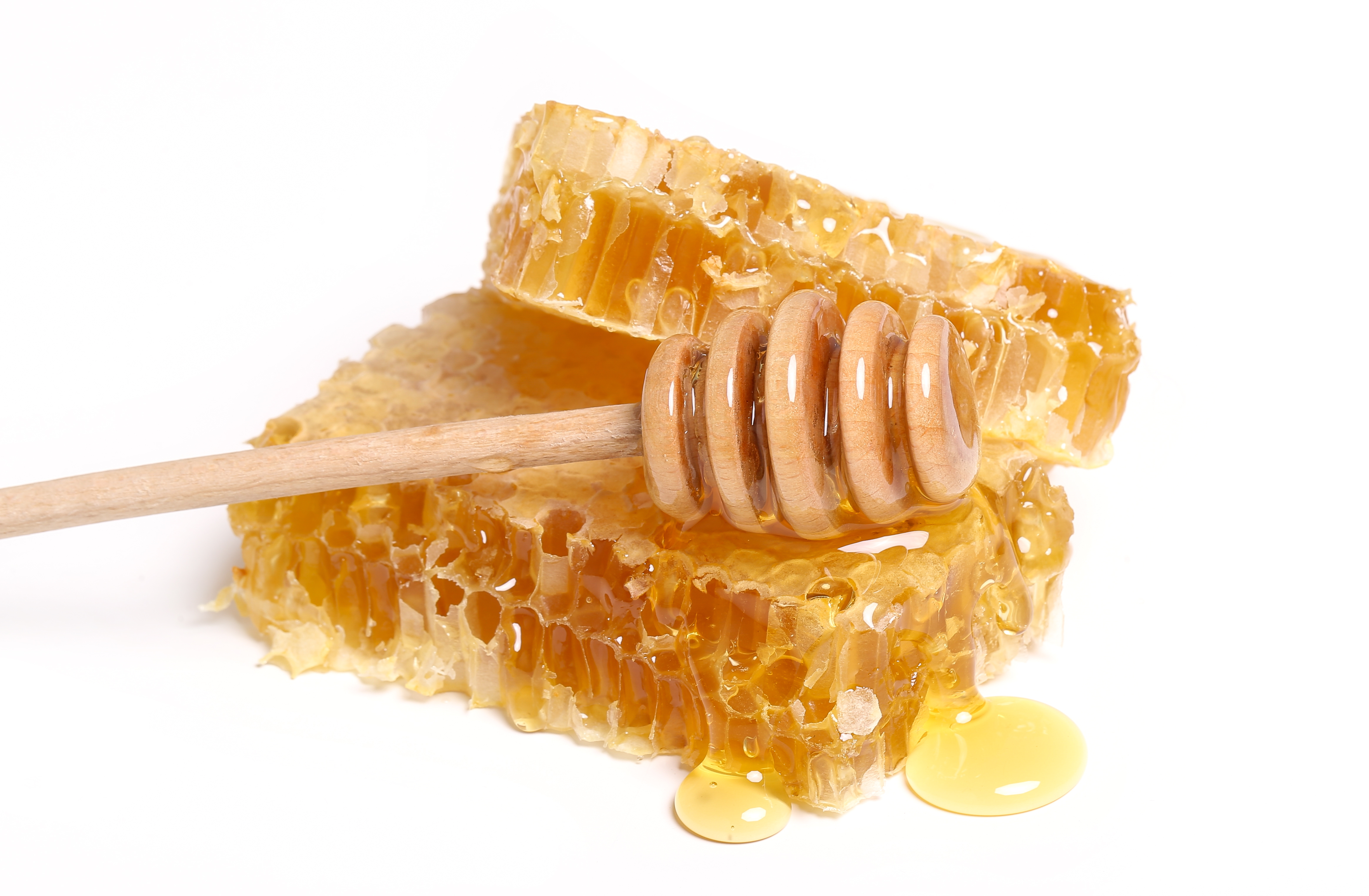 bewellnesshk_廿四節氣_寒露_honey