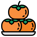 icon_persimmon