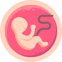 icon_embryo
