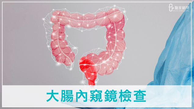 Medinfo cover 2024_大腸內窺鏡檢查