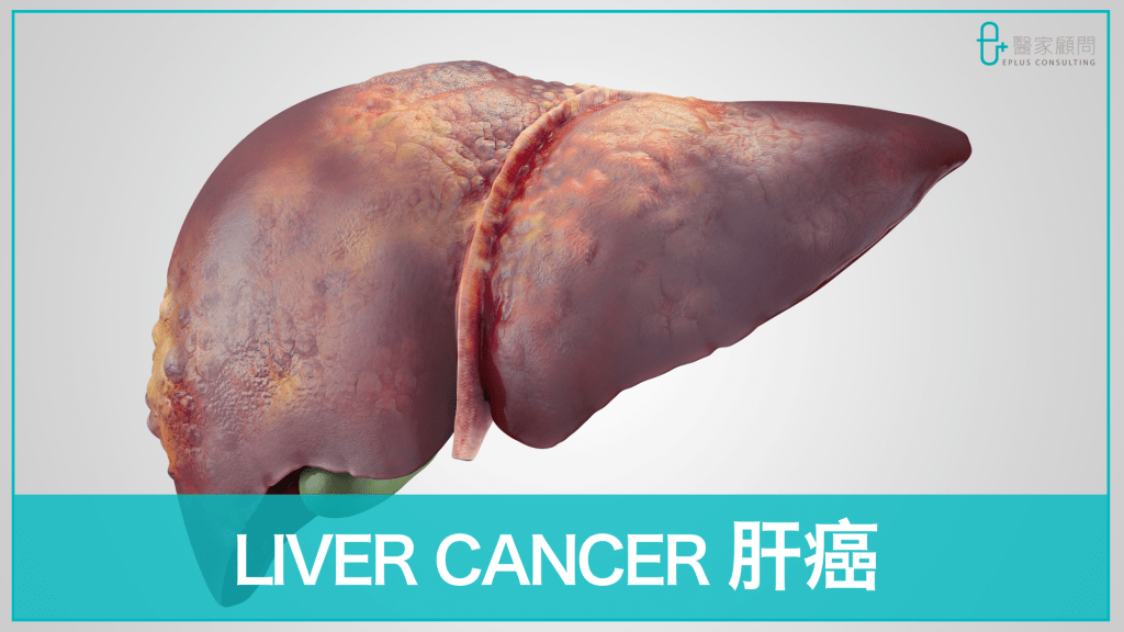 Medinfo cover 2024_Liver Cancer_肝癌