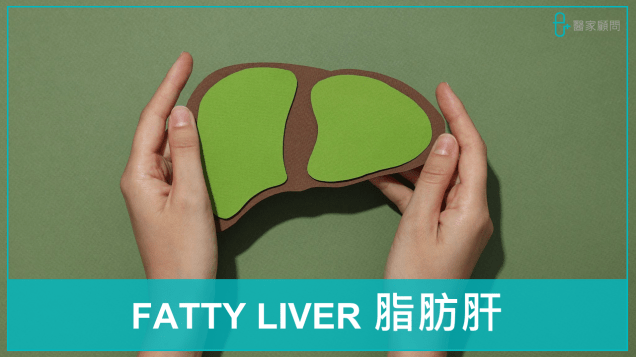 Medinfo cover 2024_Fatty Liver_脂肪肝